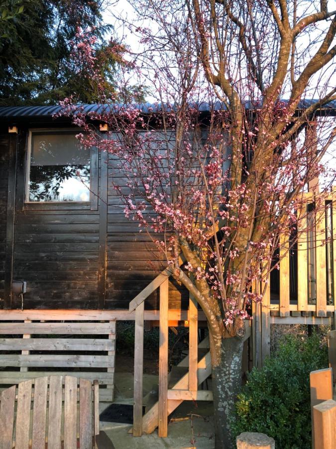 The Cherry Tree Gypsy Wagon Banbury Bagian luar foto